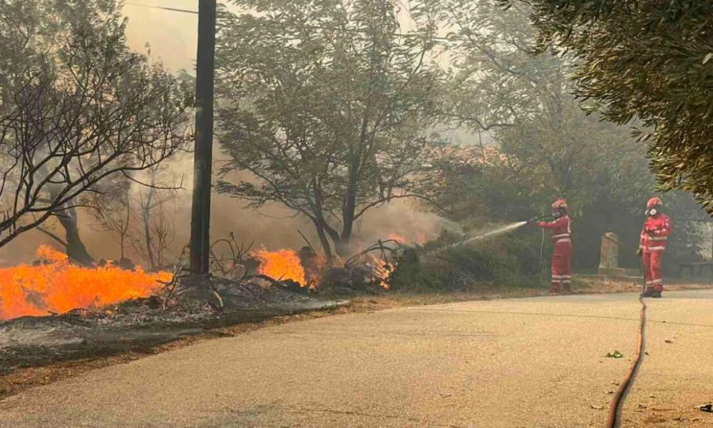 Φωτιά στην Καισαριανή - Πρόεδρος Συνδέσμου Προστασίας και Ανάπτυξης Υμηττού: «Είναι καθαρά εμπρησμός»